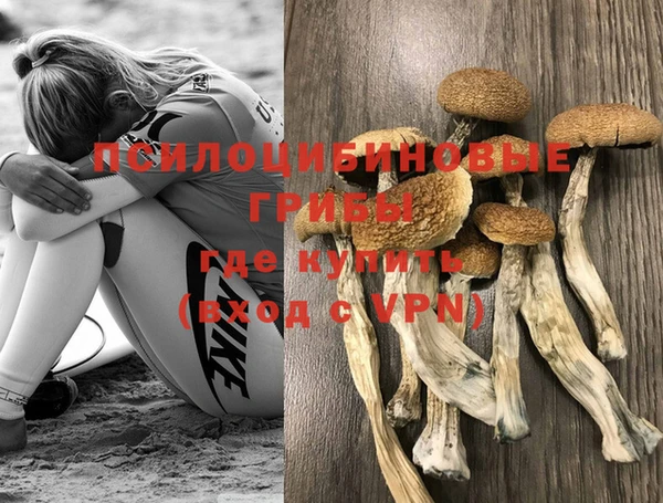 mdpv Рославль