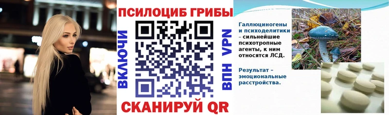 где продают наркотики  Сысерть  Псилоцибиновые грибы Cubensis 